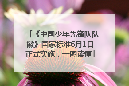 《中国少年先锋队队徽》国家标准6月1日正式实施，一图读懂