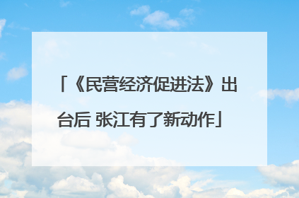 《民营经济促进法》出台后 张江有了新动作