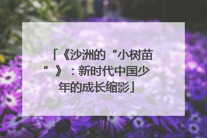 《沙洲的“小树苗”》：新时代中国少年的成长缩影