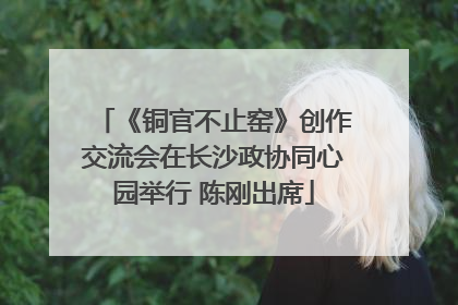 《铜官不止窑》创作交流会在长沙政协同心园举行 陈刚出席