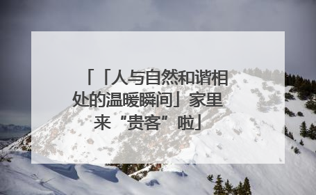 「人与自然和谐相处的温暖瞬间」家里来“贵客”啦