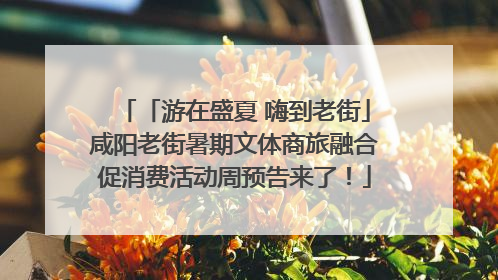 「游在盛夏 嗨到老街」咸阳老街暑期文体商旅融合促消费活动周预告来了！