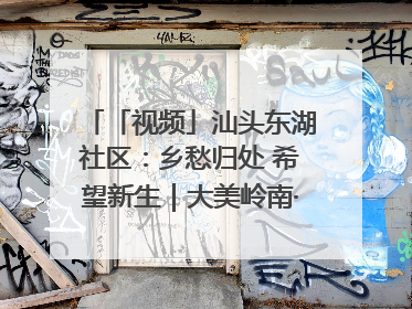 「视频」汕头东湖社区：乡愁归处 希望新生｜大美岭南·百村焕新记