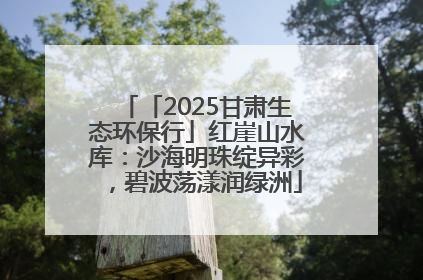 「2025甘肃生态环保行」红崖山水库：沙海明珠绽异彩，碧波荡漾润绿洲