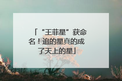 “王菲星”获命名！追的星真的成了天上的星