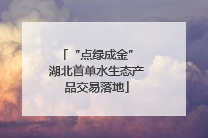 “点绿成金” 湖北首单水生态产品交易落地