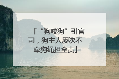 “狗咬狗”引官司，狗主人屡次不牵狗绳担全责
