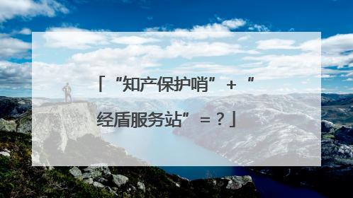 “知产保护哨”+“经盾服务站”=？