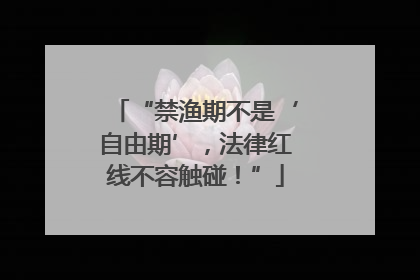 “禁渔期不是‘自由期’，法律红线不容触碰！”