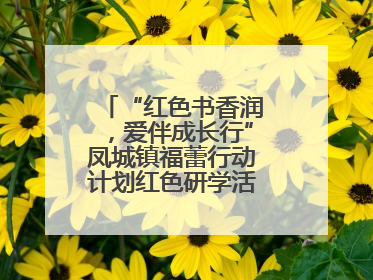 “红色书香润，爱伴成长行”凤城镇福蕾行动计划红色研学活动圆满结束