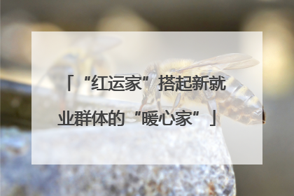 “红运家”搭起新就业群体的“暖心家”