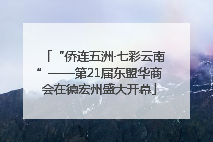 “侨连五洲·七彩云南”——第21届东盟华商会在德宏州盛大开幕