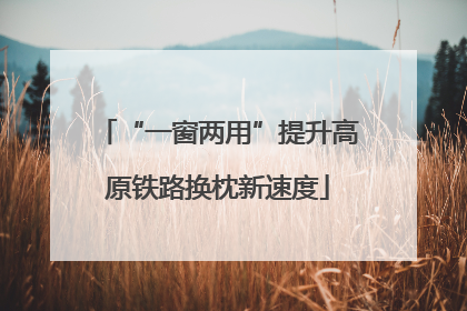 “一窗两用”提升高原铁路换枕新速度