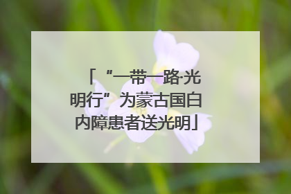 “一带一路·光明行”为蒙古国白内障患者送光明