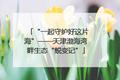“一起守护好这片海”——天津渤海湾畔生态“蜕变记”