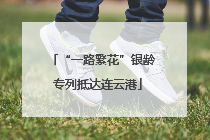 “一路繁花”银龄专列抵达连云港