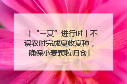 “三夏”进行时丨不误农时完成夏收夏种，确保小麦颗粒归仓