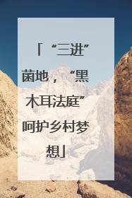 “三进”菌地，“黑木耳法庭”呵护乡村梦想