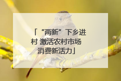 “两新”下乡进村 激活农村市场消费新活力
