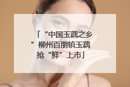 “中国玉藕之乡”柳州百朋镇玉藕抢“鲜”上市