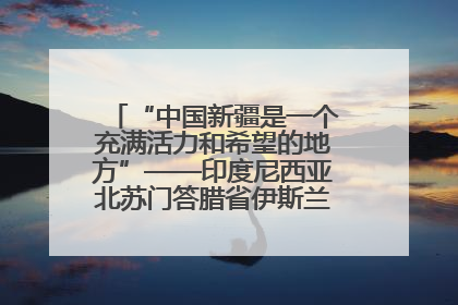 “中国新疆是一个充满活力和希望的地方”——印度尼西亚北苏门答腊省伊斯兰教代表团参访新疆