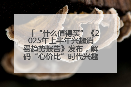 “什么值得买”《2025年上半年兴趣消费趋势报告》发布，解码“心价比”时代兴趣消费新范式