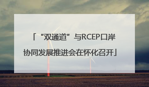 “双通道”与RCEP口岸协同发展推进会在怀化召开