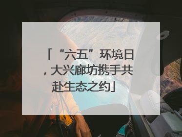“六五”环境日，大兴廊坊携手共赴生态之约