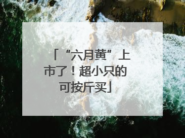 “六月黄”上市了！超小只的可按斤买