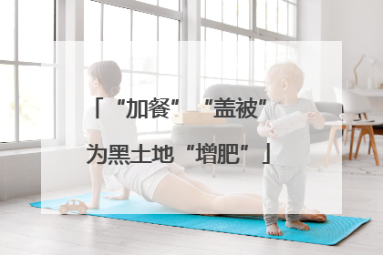 “加餐”“盖被” 为黑土地“增肥”