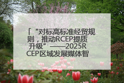 “对标高标准经贸规则，推动RCEP提质升级”——2025RCEP区域发展媒体智库论坛举行专题对话