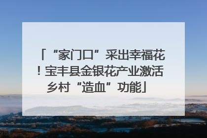 “家门口”采出幸福花！宝丰县金银花产业激活乡村“造血”功能