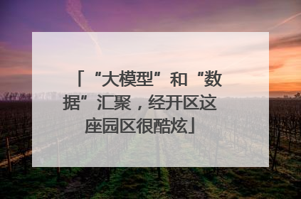 “大模型”和“数据”汇聚，经开区这座园区很酷炫