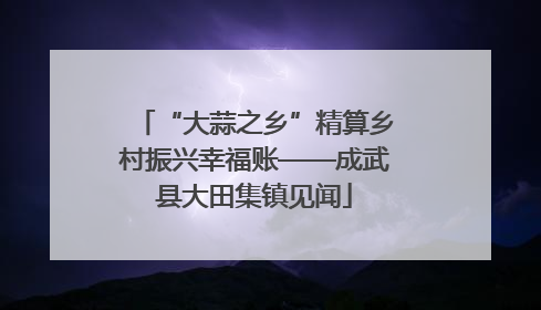 “大蒜之乡”精算乡村振兴幸福账——成武县大田集镇见闻