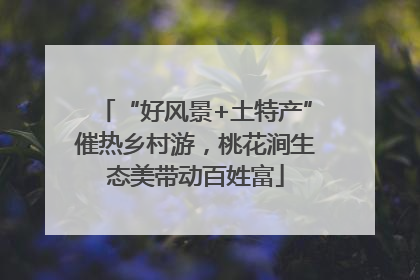 “好风景+土特产”催热乡村游，桃花涧生态美带动百姓富