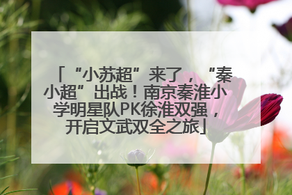 “小苏超”来了，“秦小超”出战！南京秦淮小学明星队PK徐淮双强，开启文武双全之旅
