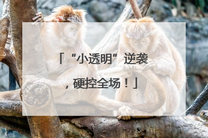 “小透明”逆袭，硬控全场！