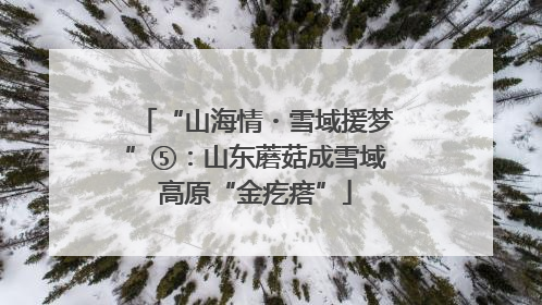 “山海情・雪域援梦”⑤：山东蘑菇成雪域高原“金疙瘩”