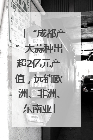 “成都产”大蒜种出超2亿元产值，远销欧洲、非洲、东南亚