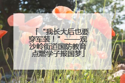 “我长大后也要穿军装！”——观沙岭街道国防教育点燃学子报国梦