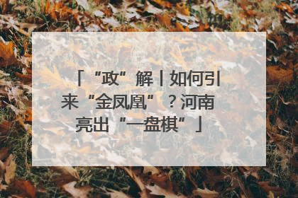 “政”解丨如何引来“金凤凰”？河南亮出“一盘棋”