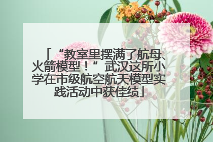 “教室里摆满了航母、火箭模型！”武汉这所小学在市级航空航天模型实践活动中获佳绩
