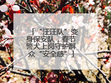 “汪汪队”变身保安队，春节警犬上岗守护群众“安全感”