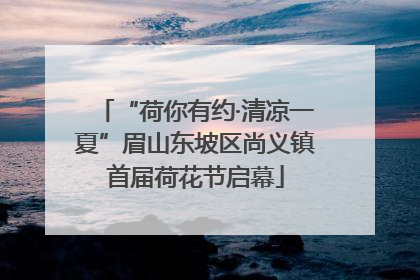 “荷你有约·清凉一夏”眉山东坡区尚义镇首届荷花节启幕