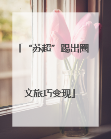 “苏超”踢出圈 文旅巧变现
