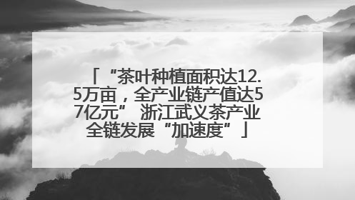 “茶叶种植面积达12.5万亩，全产业链产值达57亿元” 浙江武义茶产业全链发展“加速度”
