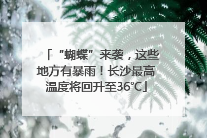 “蝴蝶”来袭，这些地方有暴雨！长沙最高温度将回升至36℃