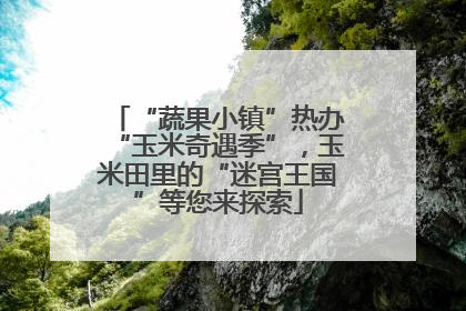 “蔬果小镇”热办“玉米奇遇季”，玉米田里的“迷宫王国”等您来探索