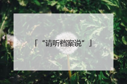 “请听档案说”