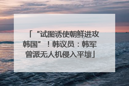 “试图诱使朝鲜进攻韩国”！韩议员：韩军曾派无人机侵入平壤
